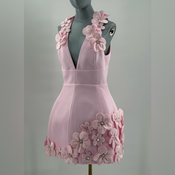 🆕 BRONX & BANCO 🧿 NWOT Estelle Floral Mini Dress, Blush Pink - Sz M US 6 - Picture 3 of 17